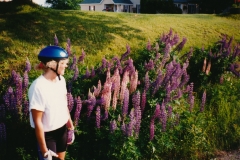 Machias trip 1993  Maggie, lupines  Photo courtesy of Evelyn Cookson