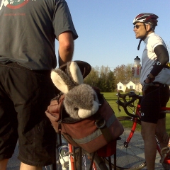 stuffed bunny rabbit, mike and don, CBBC wednesday night ride, murch rd, freeport, me