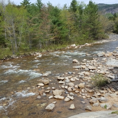 CBBC Bear Notch Ride