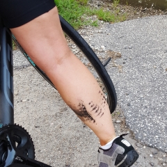 Terri's got a chainring tattoo